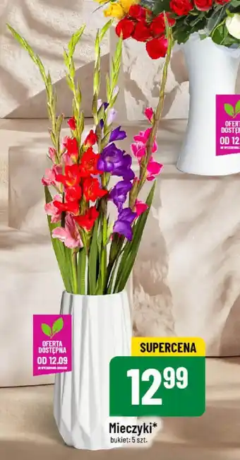 Polomarket Mieczyki oferta