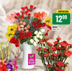 Polomarket Róże oferta