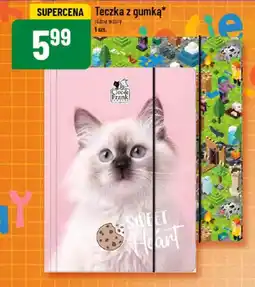 Polomarket Teczka z gumką oferta