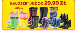 Polomarket Kalosze oferta
