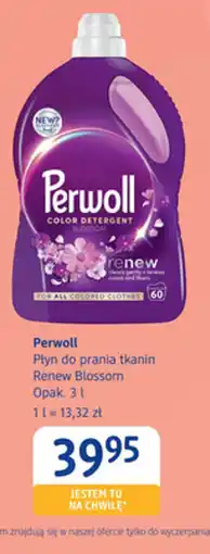 dm drogerie markt Perwoll Płyn do prania tkanin Renew Blossom oferta