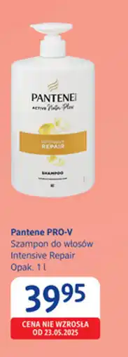 dm drogerie markt Pantene PRO-V Szampon do włosów Intensive Repair oferta