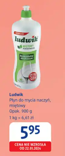 dm drogerie markt Ludwik Płyn do mycia naczyń, miętowy oferta