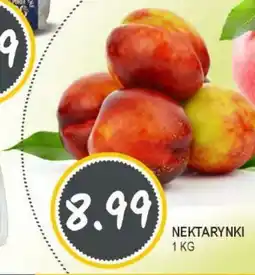 Słoneczko Nektarynki oferta