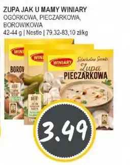 Słoneczko Zupa jak u mamy winiary Nestle oferta