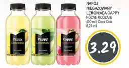 Słoneczko Napój niegazowany lemoniada cappy różne rodzaje coca cola oferta