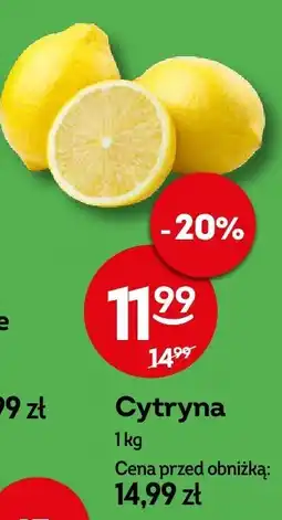 Żabka Cytryna Żabka oferta