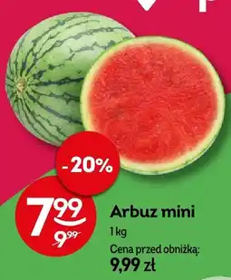 Żabka Arbuz mini Żabka oferta