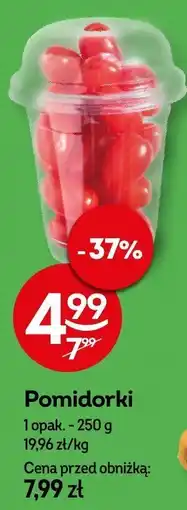 Żabka Pomidorki Żabka oferta