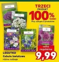 Kaufland Cebulki kwiatowe W. Legutko oferta