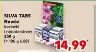 Kaufland Nawóz borówki i rododendrony Silva Tabs oferta