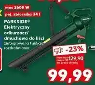 Kaufland Odkurzacz do liści 20v Parkside oferta