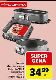 Carrefour Forma likorys kwadratowa Florina (Florentyna) oferta