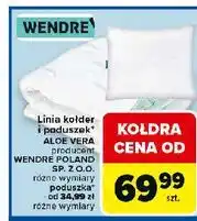 Carrefour Poduszka aloe vera 50 x 60 cm Wendre oferta