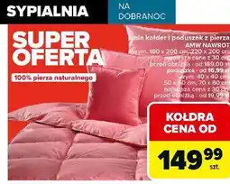 Carrefour Poduszka nawrot 70 x 80 cm Amw oferta