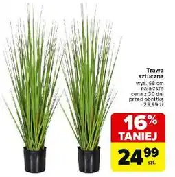 Carrefour Trawa sztuczna oferta