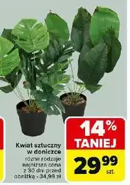 Carrefour Kwiat sztuczny oferta