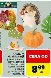 Carrefour Jesienne jeżyki oferta