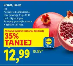 Lidl Granat Lidl oferta
