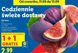 Lidl Figi świeże Lidl oferta