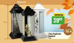Polomarket Znicz Kapliczka kwadrat oferta