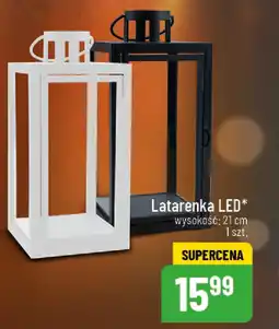Polomarket Latarenka LED oferta