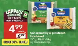 Delikatesy Centrum Ser kremowy w plastrach Hochland oferta