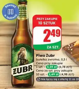 Dino Piwo ŻUBR oferta