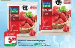 Dino Truskawki mrożone Mrożny Ogród oferta