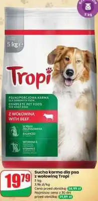 Dino Sucha karma dla psa z wołowiną Tropi oferta