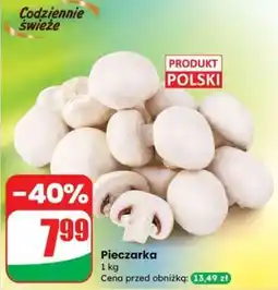 Dino Pieczarka oferta