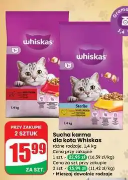 Dino Sucha karma dla kota WHISKAS oferta