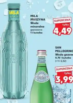 Kaufland MILA MUSZYNA oferta