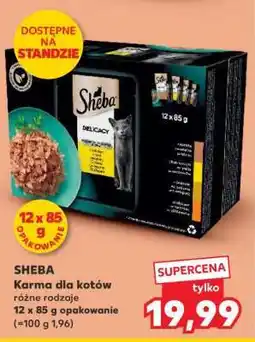 Kaufland SHEBA Karma dla kotów oferta