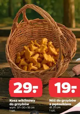 Netto Kosz wiklinowy do grzybów oferta