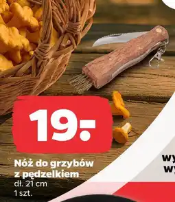 Netto Nóż do grzybów z pędzelkiem oferta