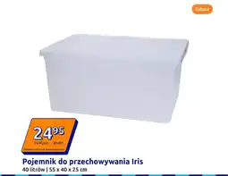 Action Pojemnik do przechowywania Iris oferta