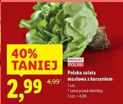 Lidl Sałata masłowa oferta