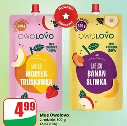 Dino Mus jabłko banan śliwka Owolovo oferta