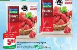 Dino Truskawki Mroźny Ogród oferta