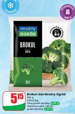 Dino Brokuły Mroźny Ogród oferta