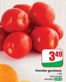 Dino Pomidory gruntowe oferta