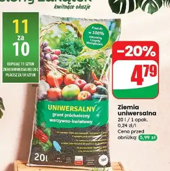 Dino Ziemia uniwersalna oferta