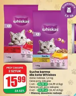 Dino Karma dla kota z wołowiną Whiskas oferta