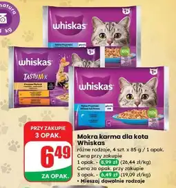 Dino Karma dla kota kremowe wariacje Whiskas Tasty Mix oferta