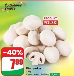 Dino Pieczarki polskie oferta