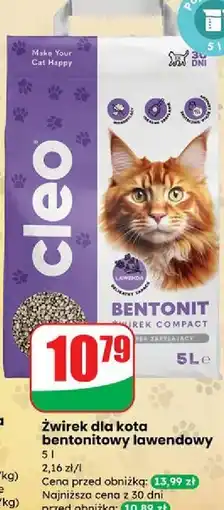Dino Żwirek bentonitowy lawendowy Cleo oferta