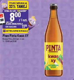 Polomarket Piwo Pinta Kwas XY Browar Pinta oferta