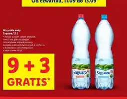 Lidl Woda gazowana Saguaro oferta