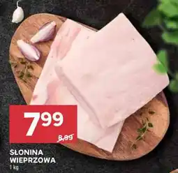 Stokrotka Market Słonina wieprzowa oferta